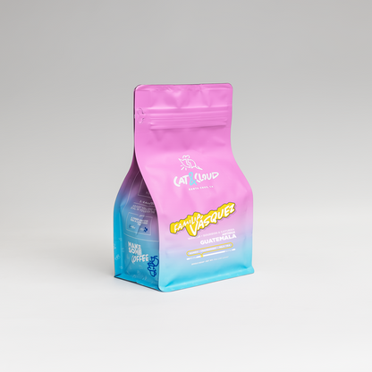 Cat & Cloud Guatemala Familia Vasquez coffee bag with pink top and blue gradient label against a light gray backdrop
