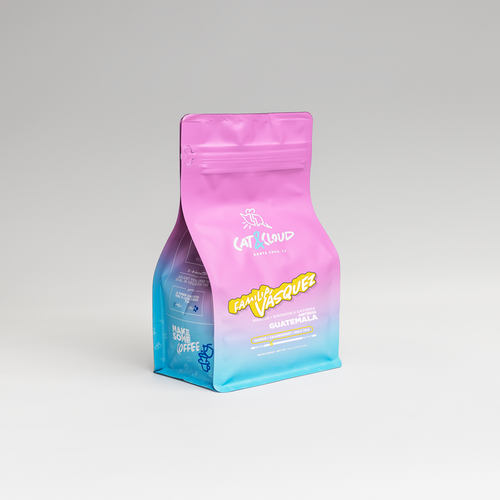 Cat & Cloud Guatemala Familia Vasquez coffee bag with pink top and blue gradient label against a light gray backdrop