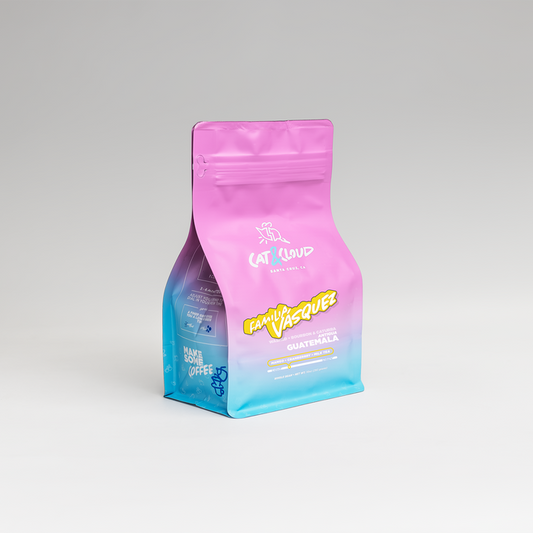 Cat & Cloud Guatemala Familia Vasquez coffee bag with pink top and blue gradient label against a light gray backdrop