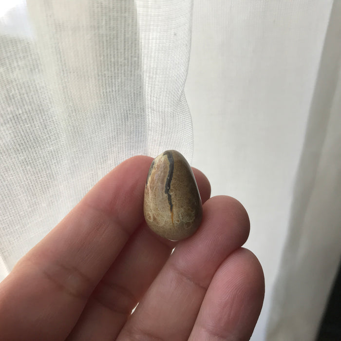 Hatching