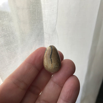Hatching