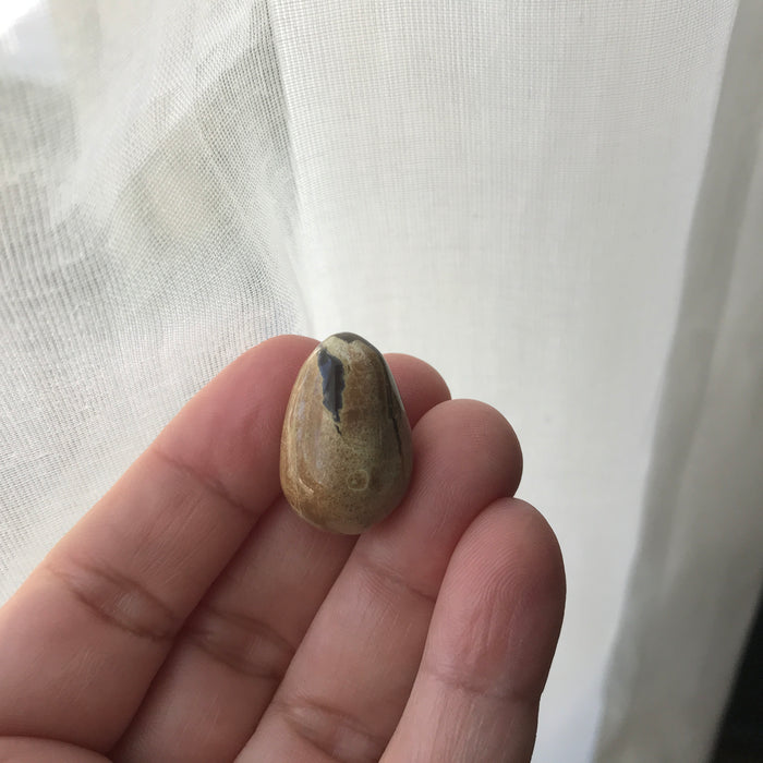 Hatching