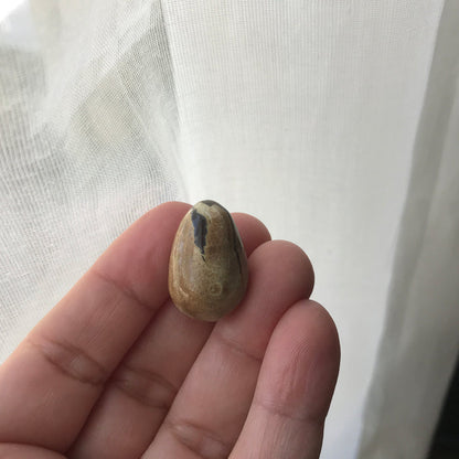 Hatching