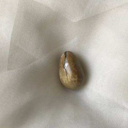 Hatching