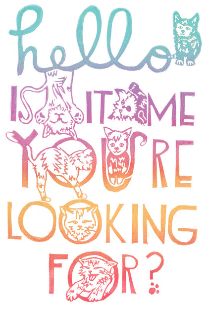 Hello Is It Me You're Looking For? Greeting Card 6-Pack Inspired By Music