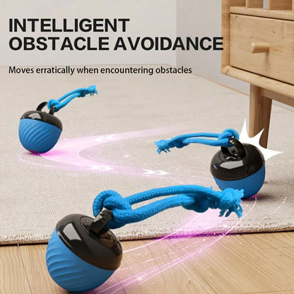 Interactive Smart Dog Ball Toy, Durable Chewable Exercise Ball, USB Rechargeable, With Tail Rope, Movable Glowing Barking Ball, Indoor Pet Rolling Game, Suitable For Small/Medium Dogs, Relieve Boredom