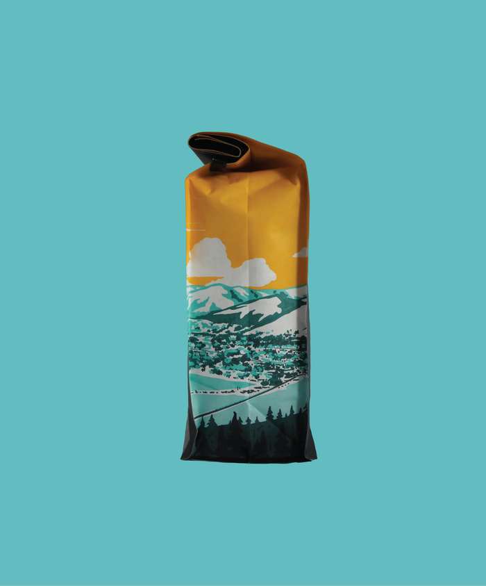 Kenya Kii AB coffee bag standing upright with folded top and mountain landscape design on teal background