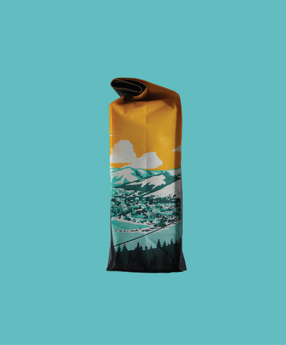 Kenya Kii AB coffee bag standing upright with folded top and mountain landscape design on teal background
