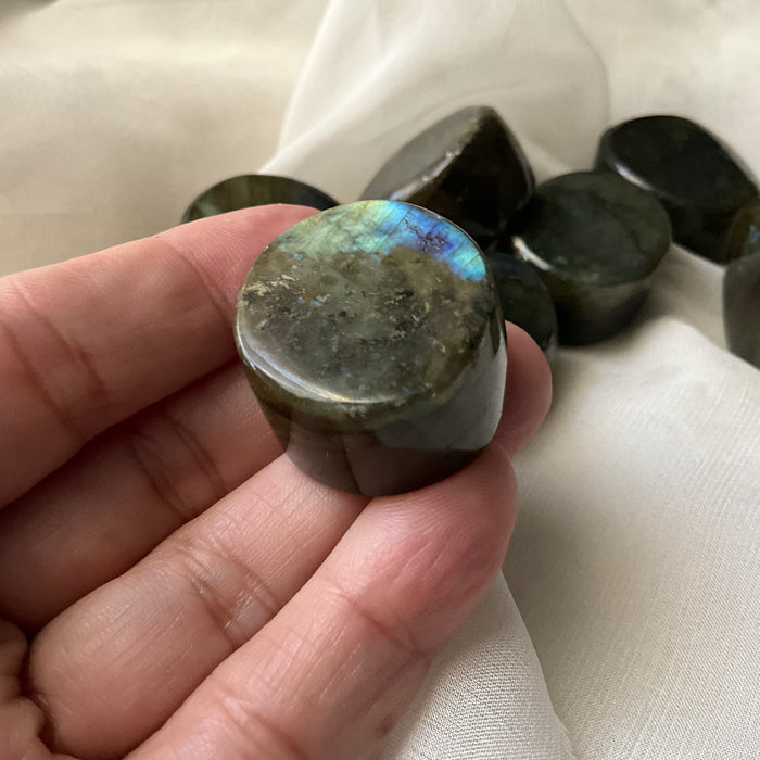 Labradorite buttons