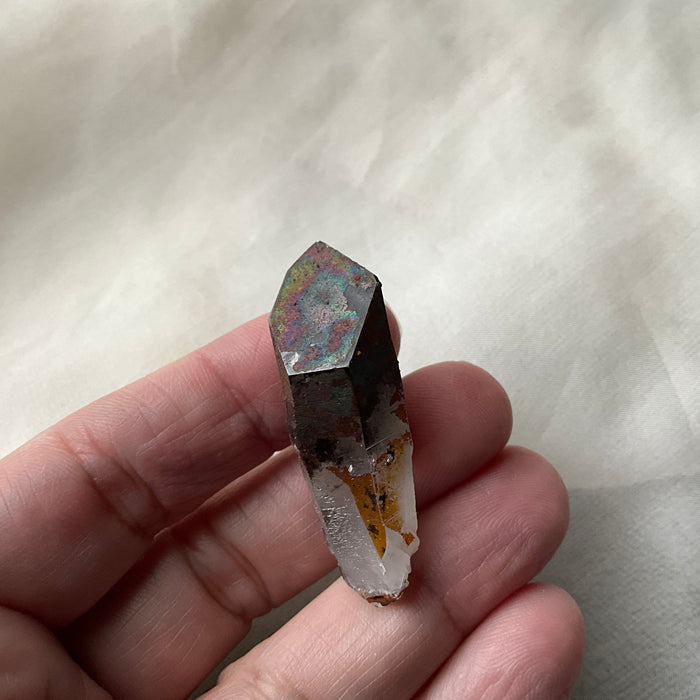 Lion Shaman Black Rainbow Quartz