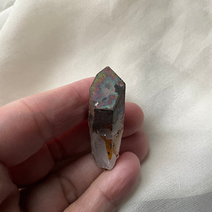 Lion Shaman Black Rainbow Quartz