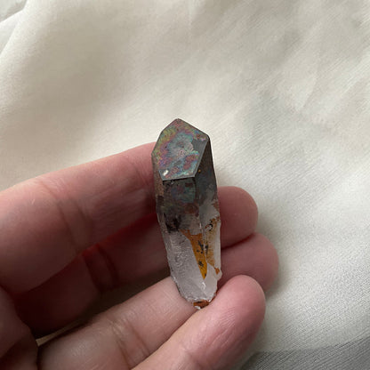 Lion Shaman Black Rainbow Quartz