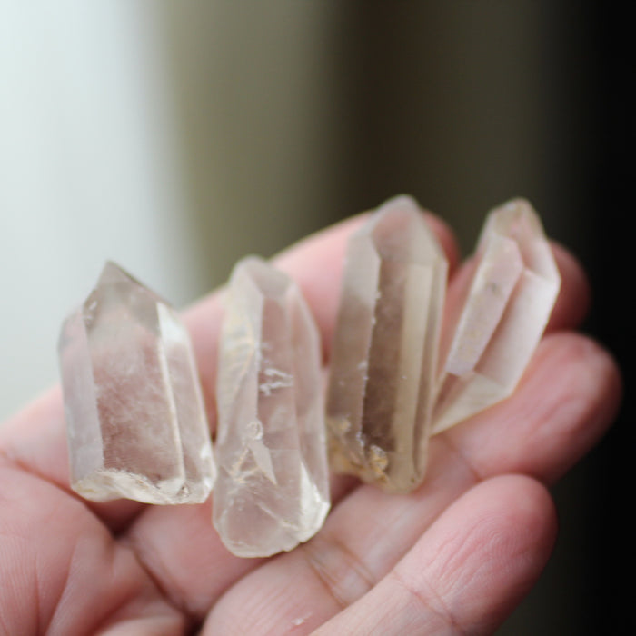 Monk Crystals