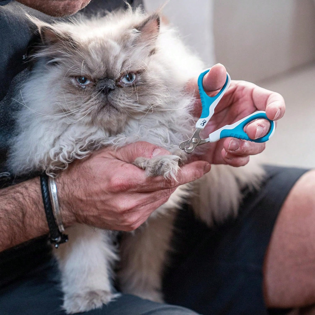 Mr. Pen- Cat Nail Clipper, Stainless Steel, Professional Sharp Cat Claw Trimmer For Small And Medium Cats, Pet Nail Clipper With Sturdy Non Slip Handle