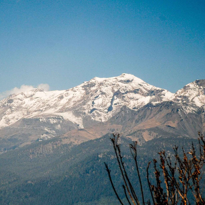 Snowy mountain range under a blue sky with bare branches in the foreground