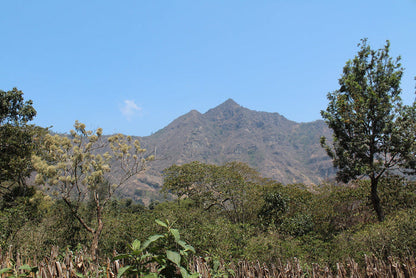 Volcanic mountain landscape in Guatemala with a clear blue sky and trees in the foreground