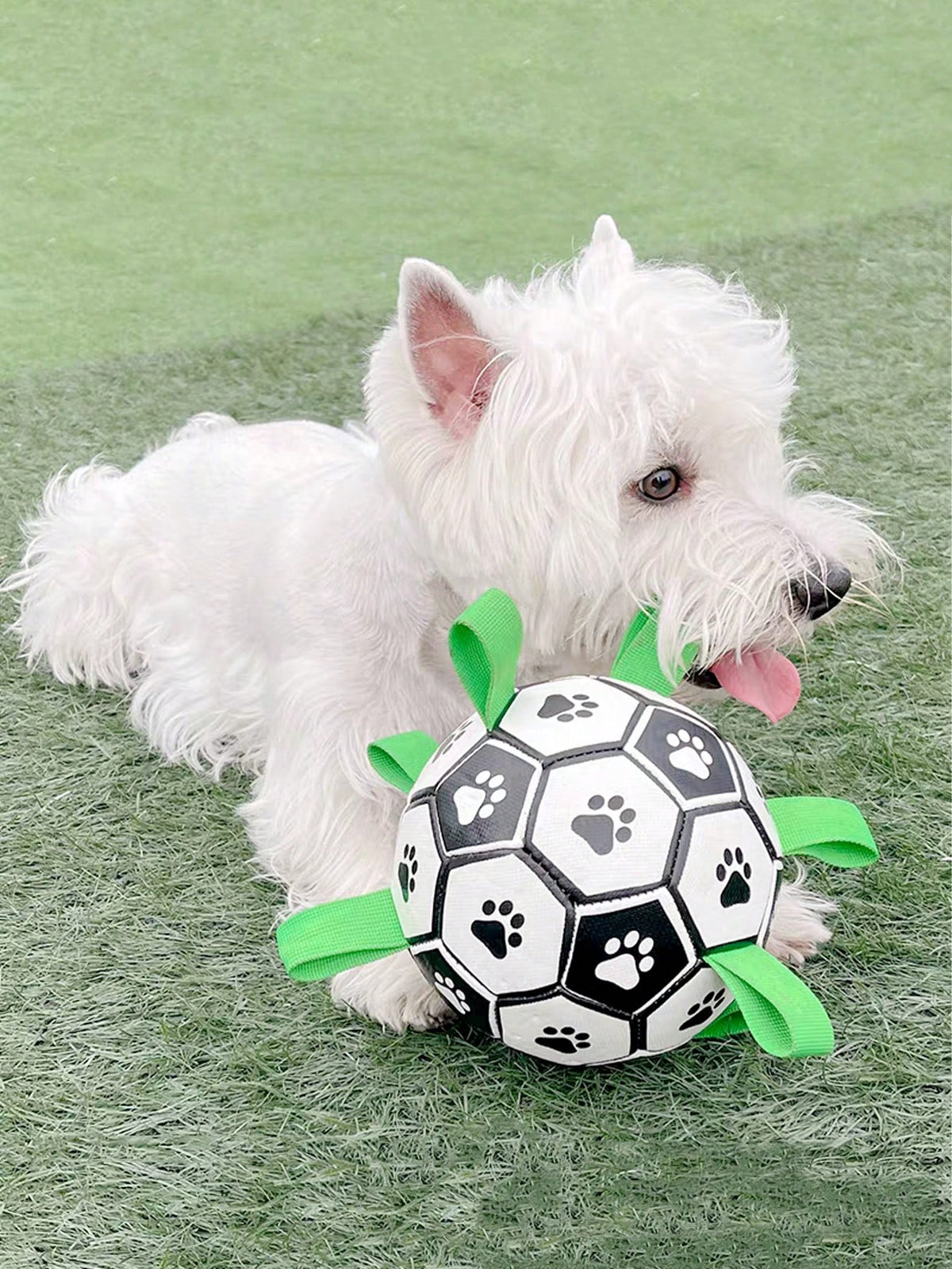 Pet Dog Toy With Built-In Woven Strap Football, Interactive Dog Toy For Indoor And Outdoor, Regular Dog Football Suitable For Small, Medium And Large Dogs