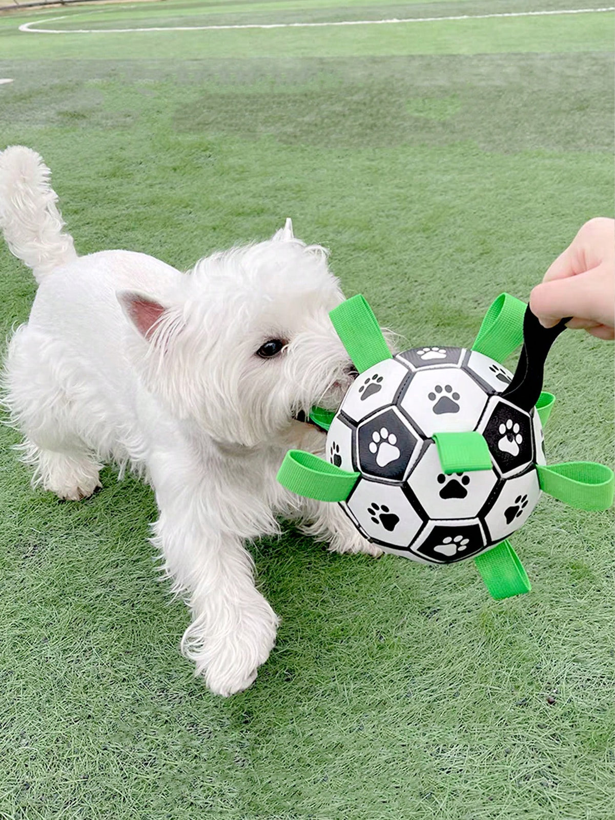 Pet Dog Toy With Built-In Woven Strap Football, Interactive Dog Toy For Indoor And Outdoor, Regular Dog Football Suitable For Small, Medium And Large Dogs