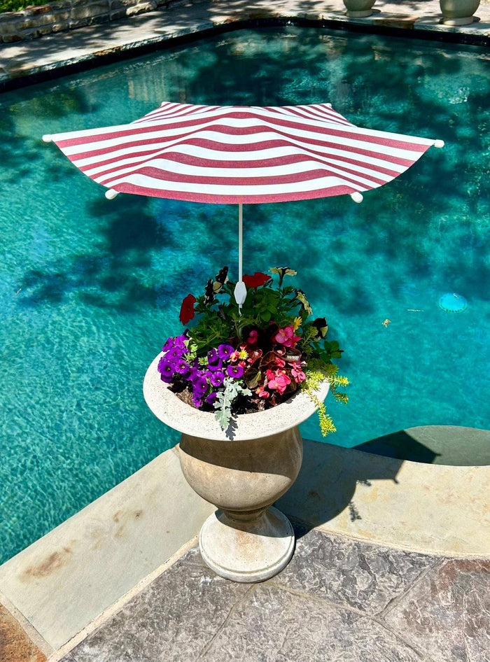 Plant Cabana: Burgundy Stripe