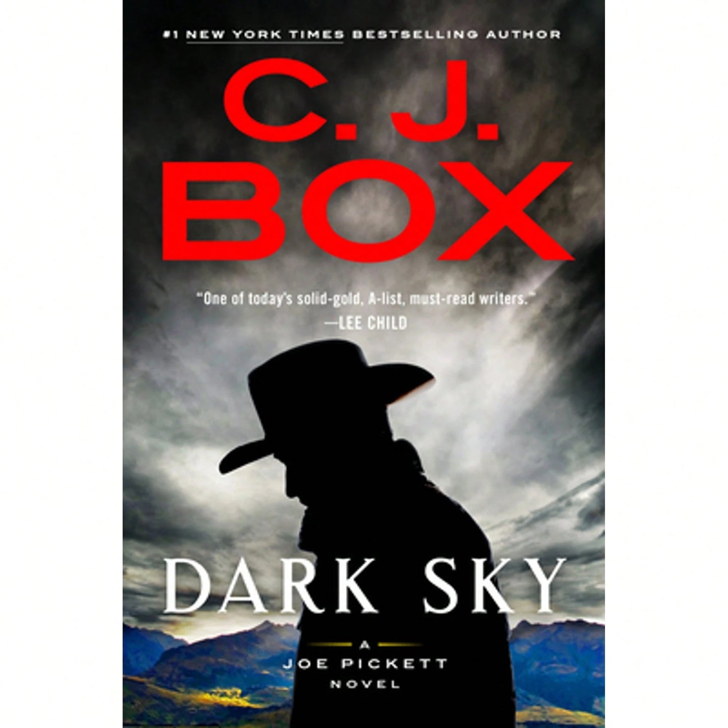 Pre-Owned Dark Sky (Hardcover) By C J Box