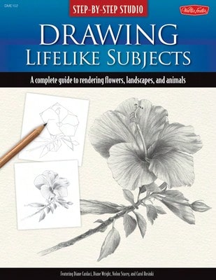 Pre-Owned Drawing For The Absolute Beginner (Paperback) By Carole Massey