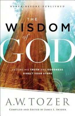 Pre-Owned Reading Scripture Canonically: Theological Instincts For Old Testament Interpretation (Paperback) By Mark S Gignilliat