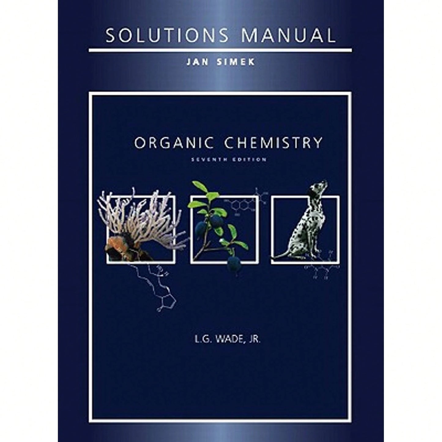 Pre-Owned Solutions Manual For Organic Chemistry (Paperback) By L G Wade