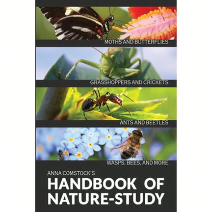 Pre-Owned The Handbook Of Nature Study In Color- Insects (Paperback) By Anna B Comstock