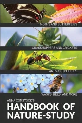 Pre-Owned The Handbook Of Nature Study In Color- Insects (Paperback) By Anna B Comstock