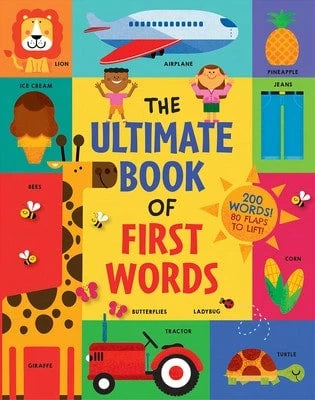 Pre-Owned The Ultimate Book Of First Words: 200 Words! 80 Flaps To Lift! (Hardcover) By Steve Mack