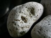 Pumice