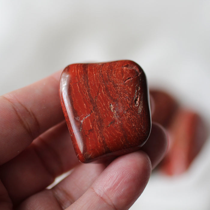 Snakeskin Jasper Tumbles