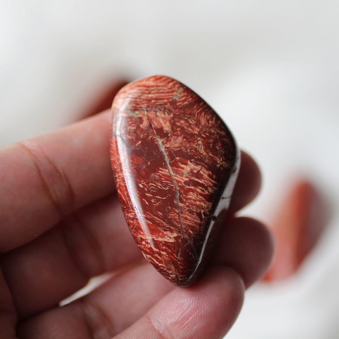 Snakeskin Jasper Tumbles