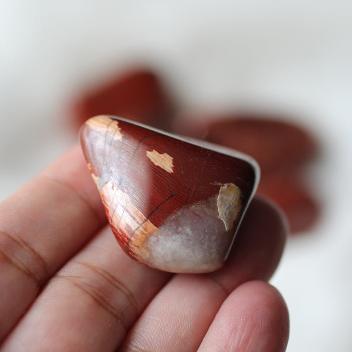 Snakeskin Jasper Tumbles