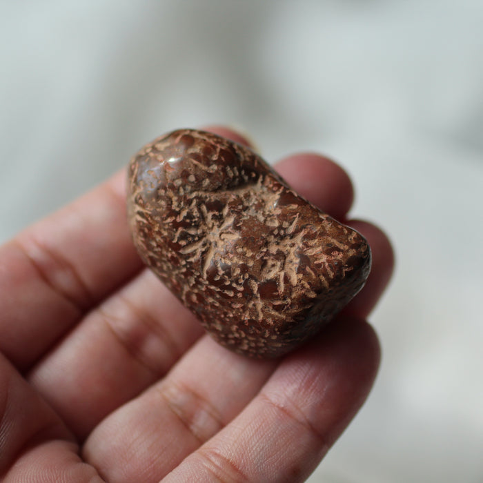 Starburst Jasper Tumbles