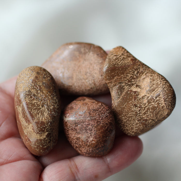 Starburst Jasper Tumbles