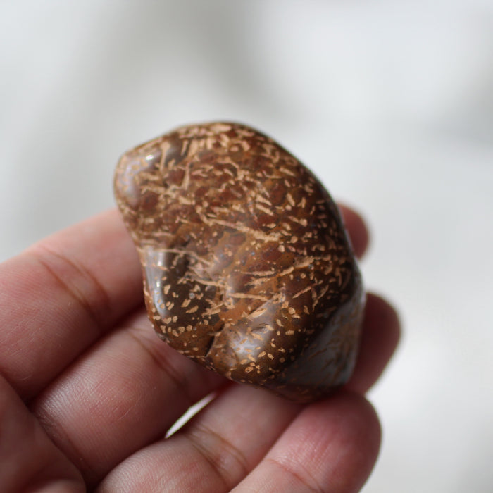 Starburst Jasper Tumbles