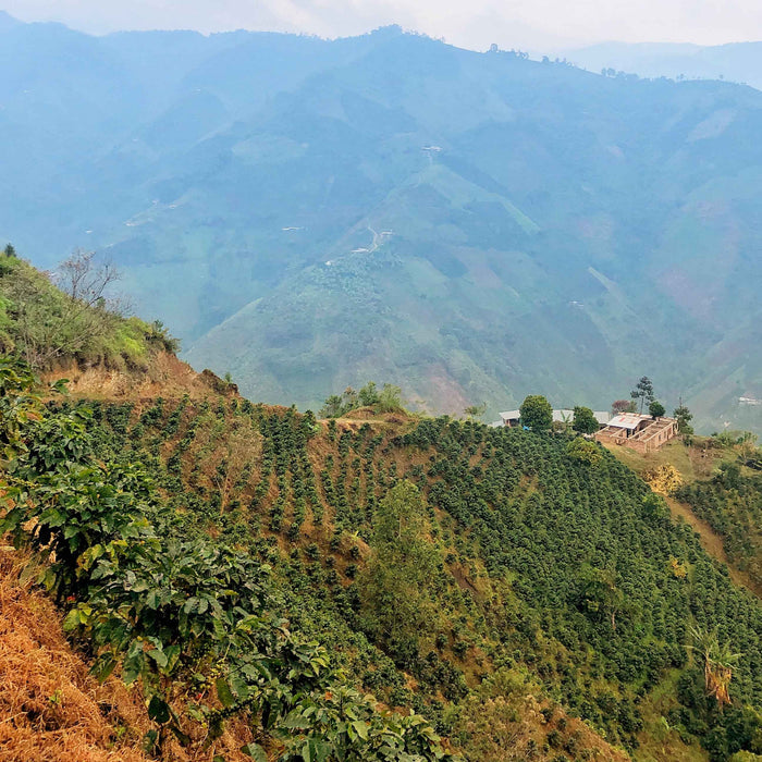 Blue mountain landscape with hazy layered hills and valleys