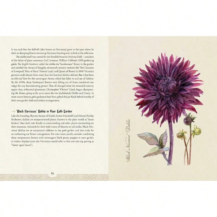 The Goth Garden: The Mystery, Beauty, And Lore Of Dark Gardening