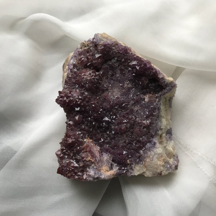Violet Star