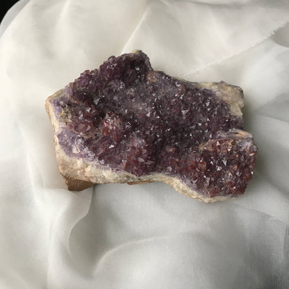 Violet Star