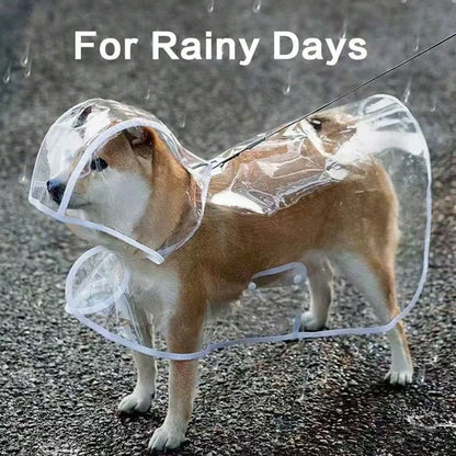 Waterproof Dog Raincoat| Waterproof Transparent Material, All-Around Protection, Button Front, Suitable For Small To Medium Dogs (E.G. Poodle, Bichon Frise, Fluffy Breeds)- Transparent Rainwear, Ide