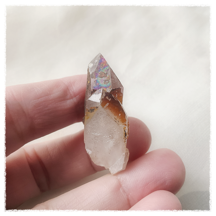 Witch of the West Black Rainbow Quartz
