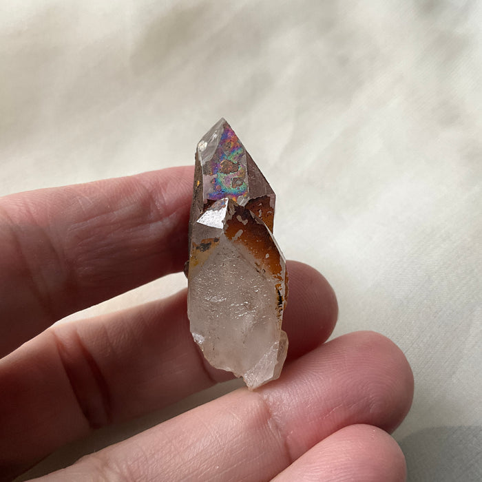 Witch of the West Black Rainbow Quartz