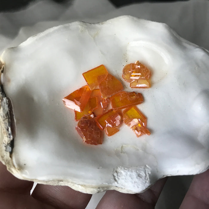 Wulfenite Crystals Arizona
