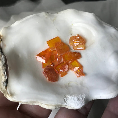 Wulfenite Crystals Arizona