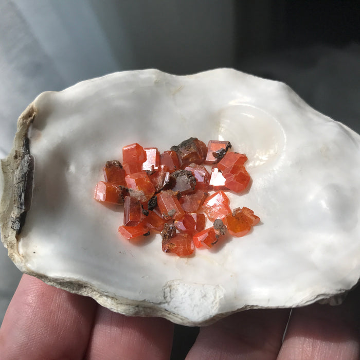 Wulfenite Crystals Red Cloud Mine