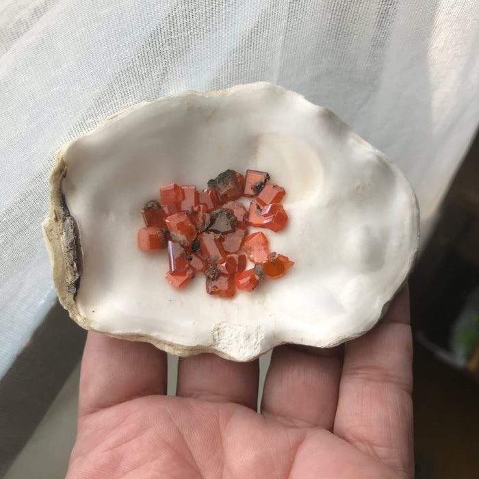 Wulfenite Crystals Red Cloud Mine