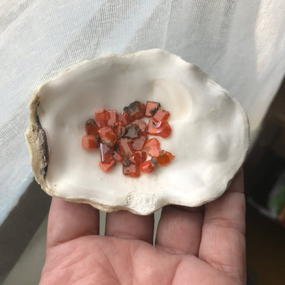 Wulfenite Crystals Red Cloud Mine