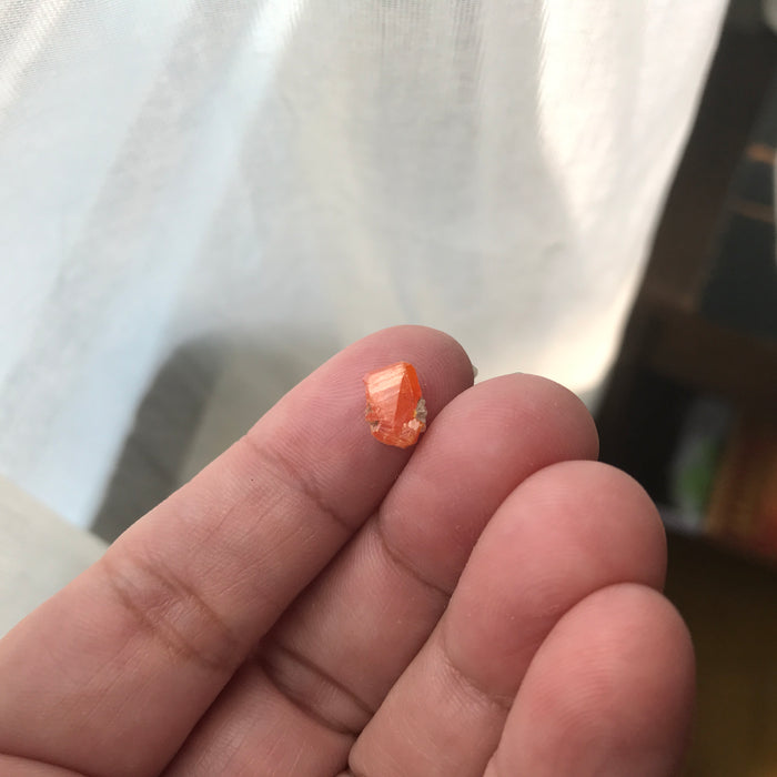Wulfenite Crystals Red Cloud Mine
